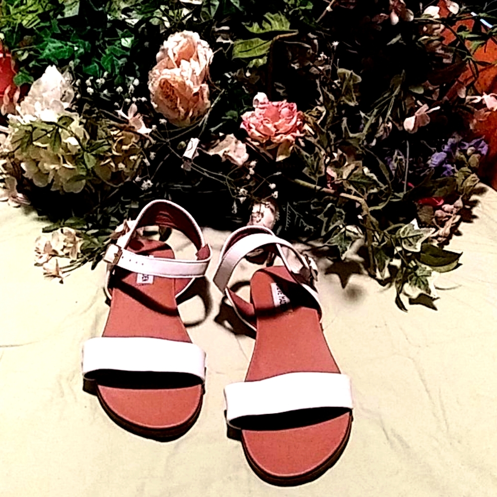 Steve Madden shoes (477)